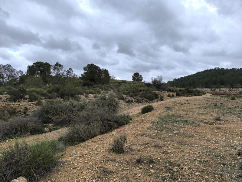 Terrenos en venta