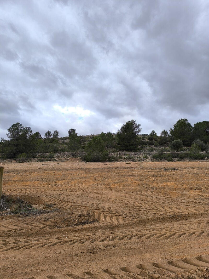Terrenos en venta