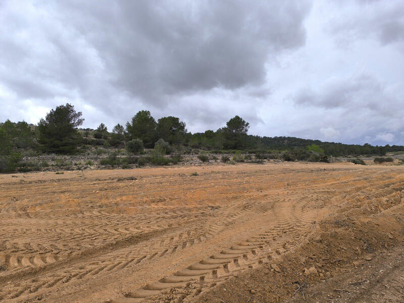 Terrenos en venta