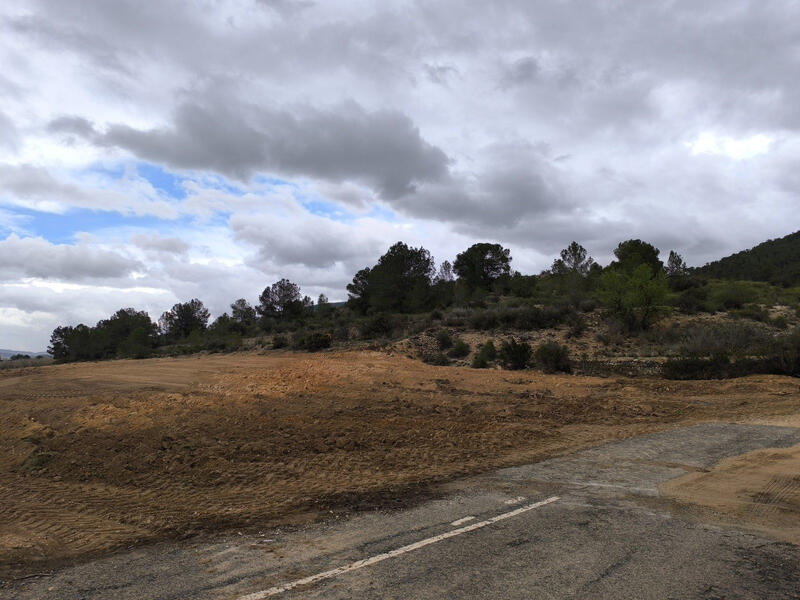 Terrenos en venta