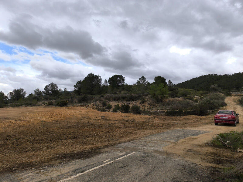 Terrenos en venta