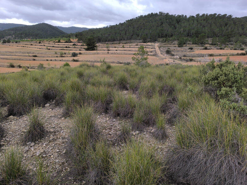 Terrenos en venta