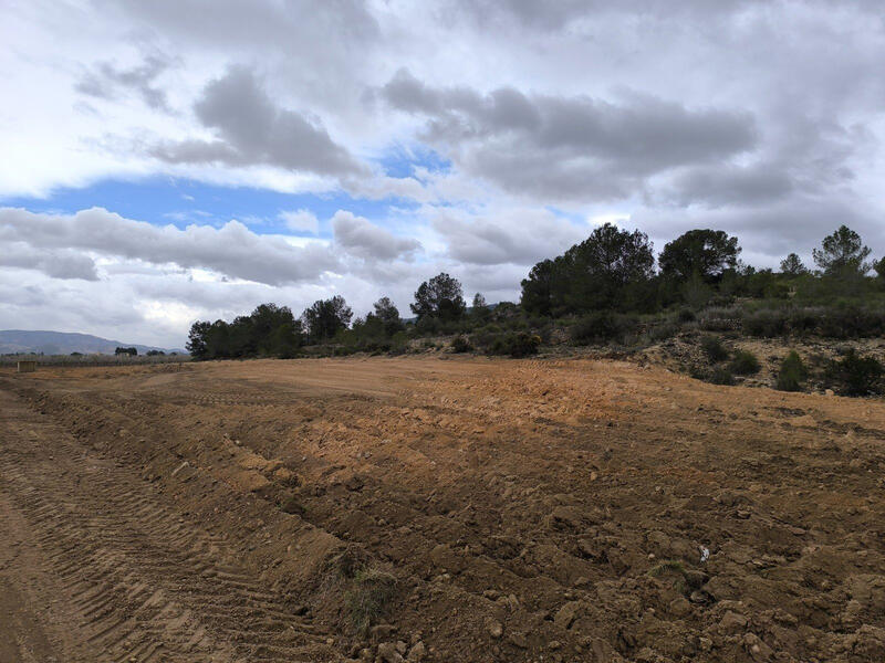 Terrenos en venta