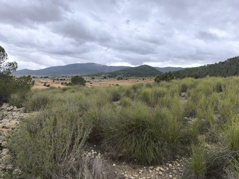 Terrenos en venta
