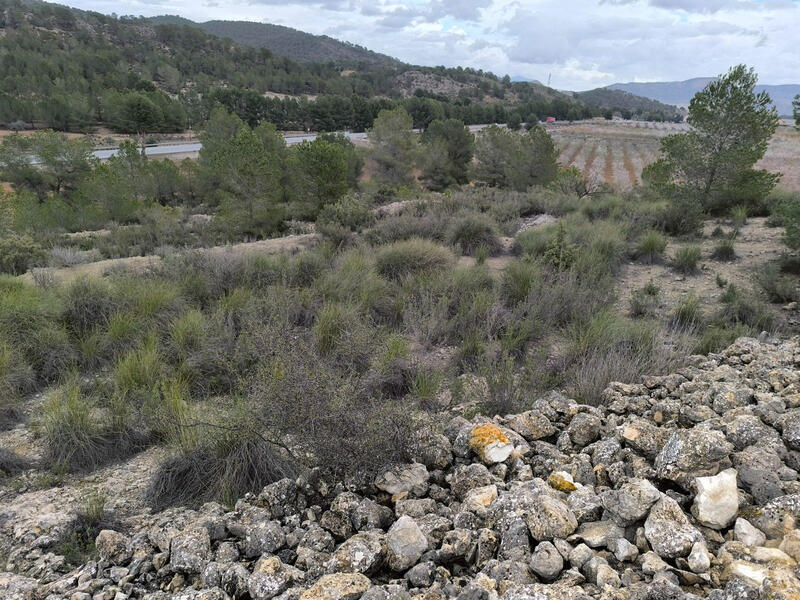 Terrenos en venta