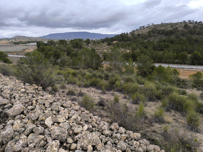Terrenos en venta