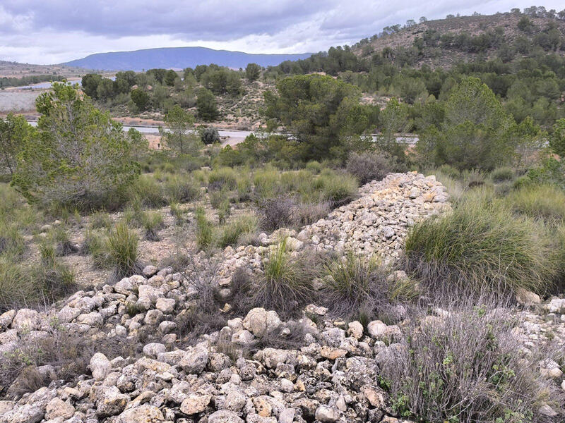 Terrenos en venta