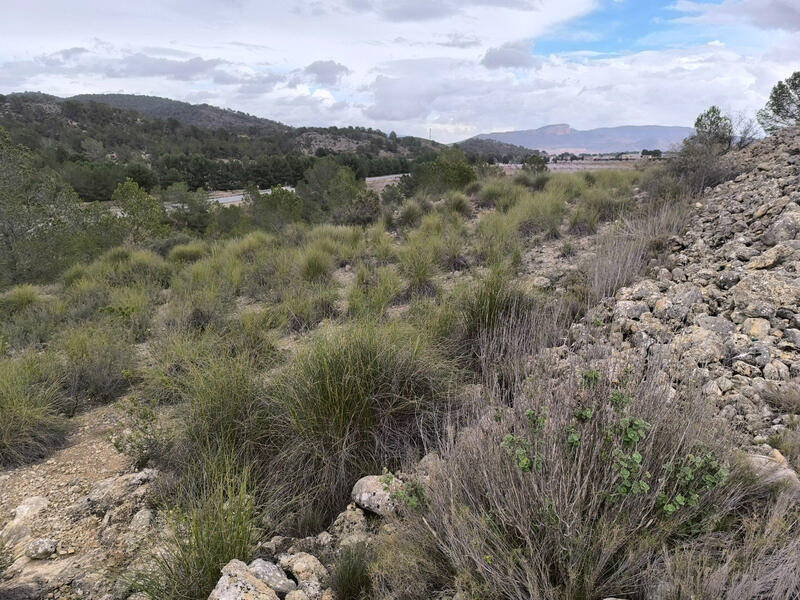 Terrenos en venta