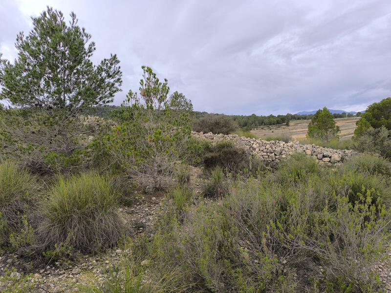 Terrenos en venta