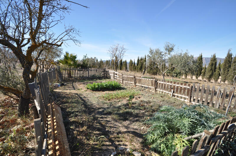 5 Cuarto Casa de Campo en venta