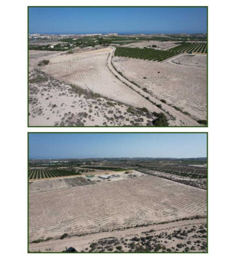 Land for sale