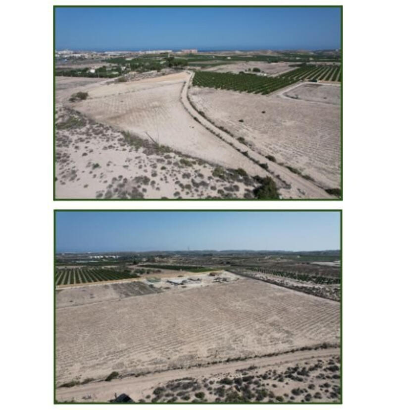 Land for sale