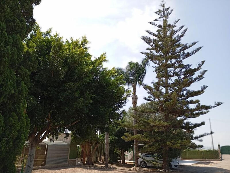 2 Cuarto Casa de Campo en venta