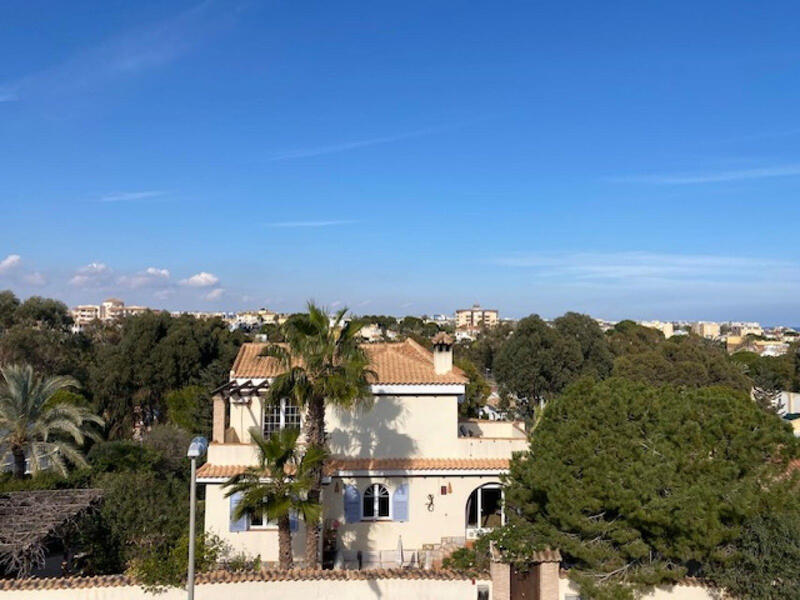 Villa à vendre dans Orihuela Costa, Alicante