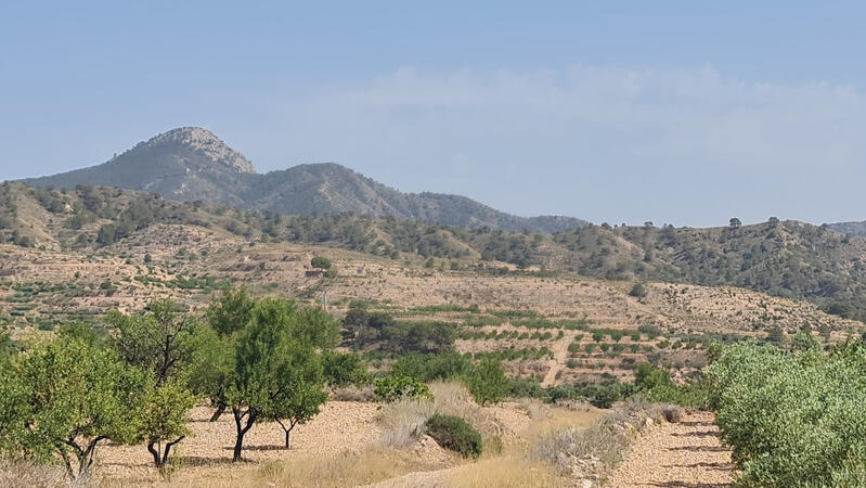 Land Te koop in Abanilla, Murcia