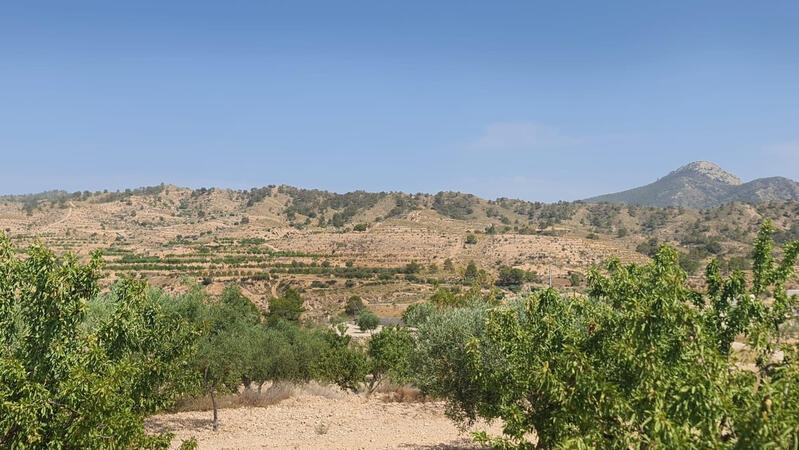 Grundstück zu verkaufen in Abanilla, Murcia