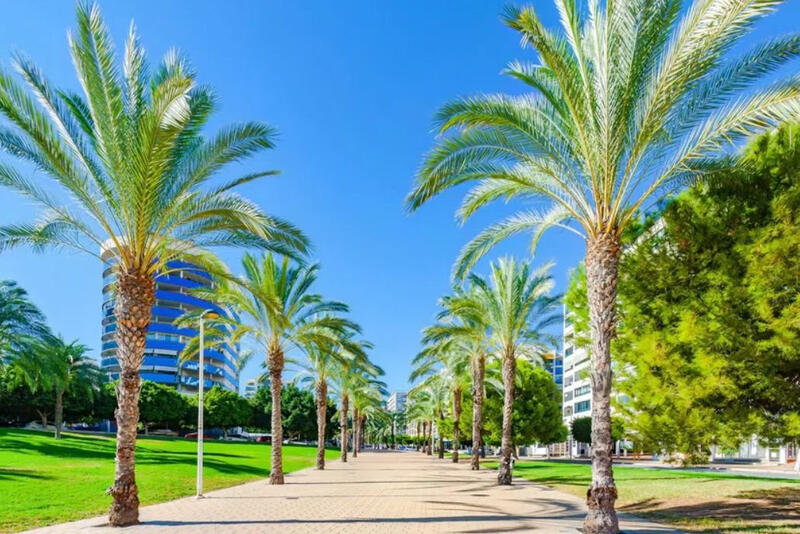 Appartement à vendre dans Villajoyosa, Alicante