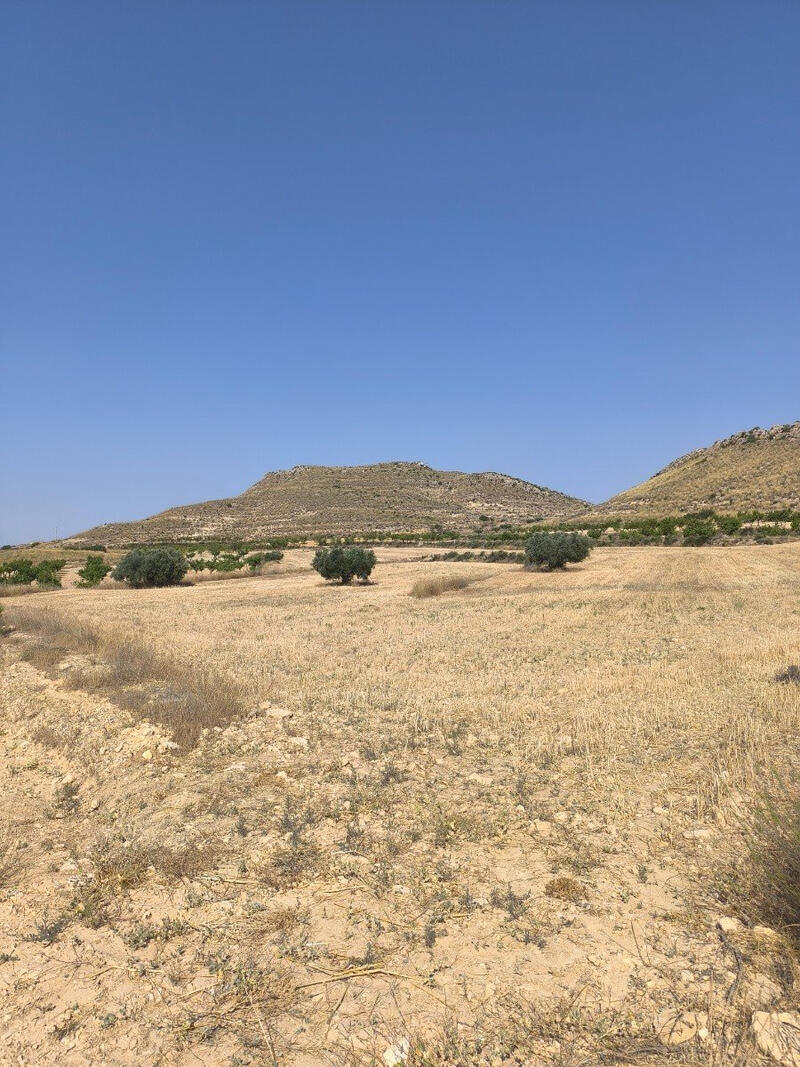 земля продается в Torrevieja, Alicante