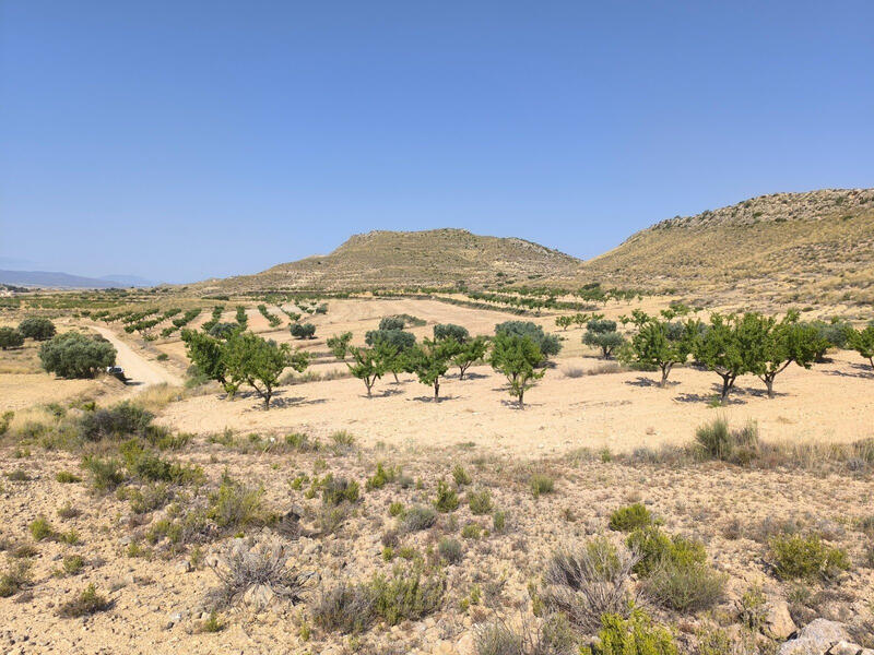 Terrenos en venta en Torrevieja, Alicante