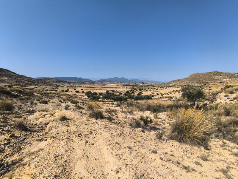 Terrain à vendre