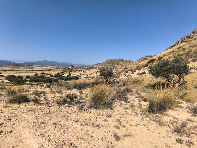 Terrain à vendre