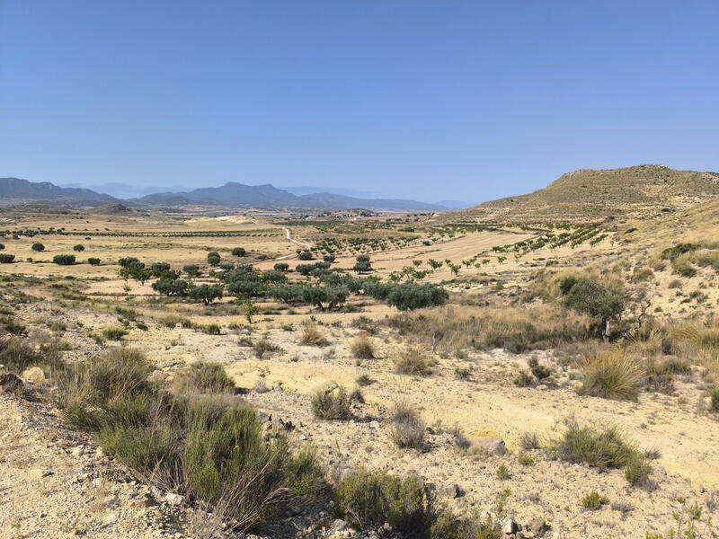 Terrain à vendre