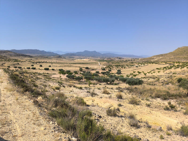 Terrain à vendre