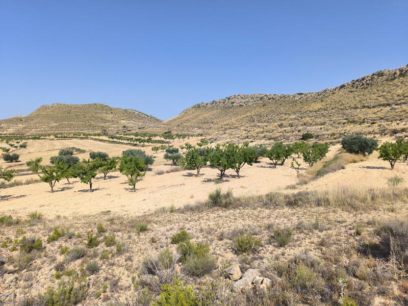 Terrain à vendre