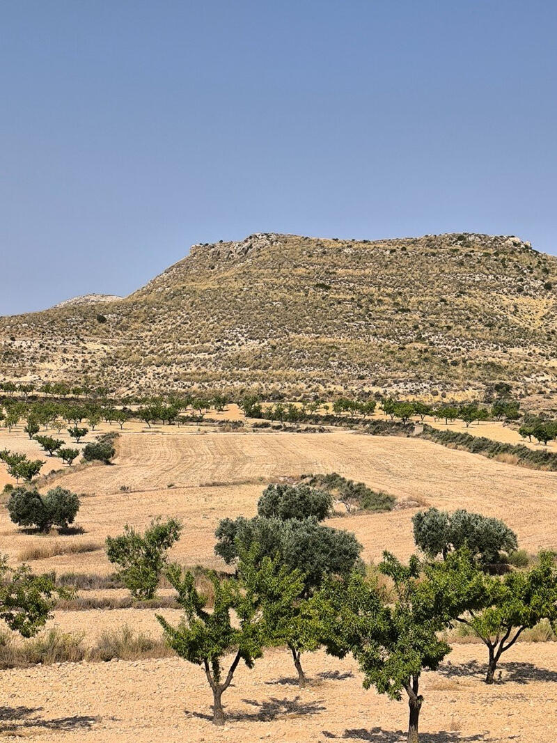 Terrain à vendre