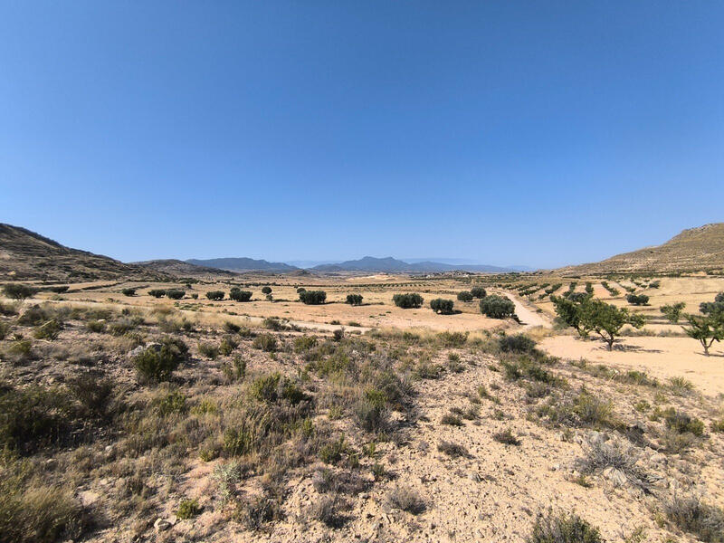 Terrain à vendre
