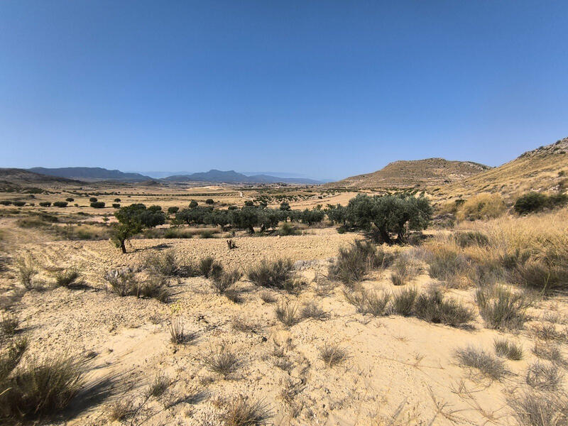 Terrain à vendre