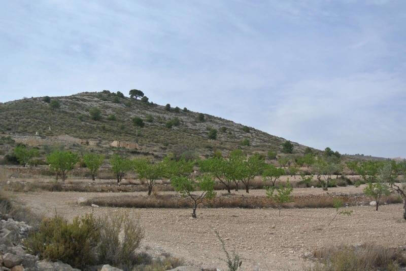 Terrenos en venta en Torrevieja, Alicante