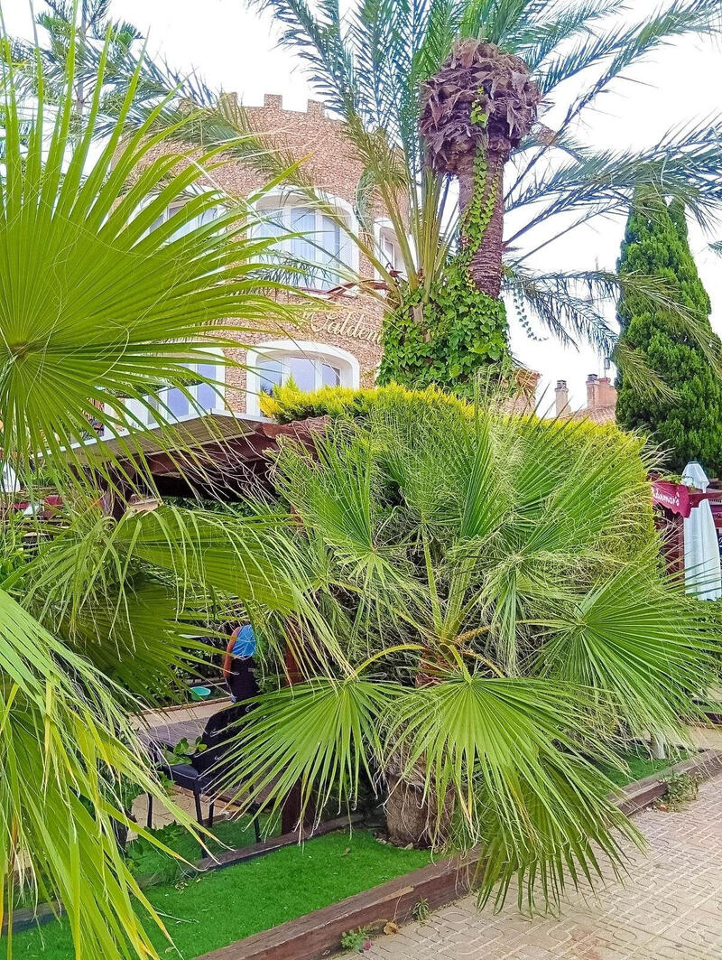 2 chambre Appartement à vendre