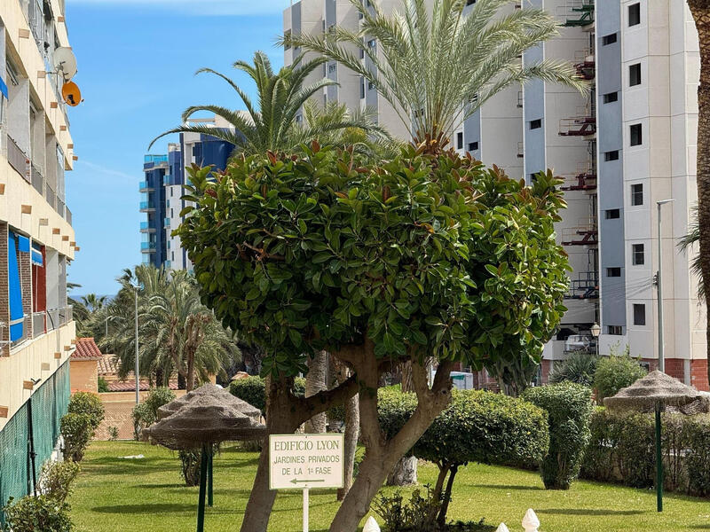 1 slaapkamer Appartement Te koop