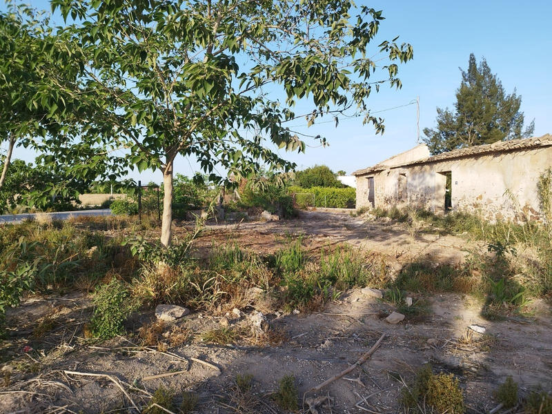 Terrain à vendre dans Catral, Alicante