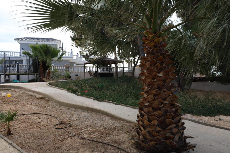 5 chambre Villa à vendre