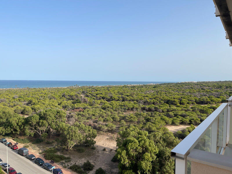 Appartement zu verkaufen in Guardamar del Segura, Alicante