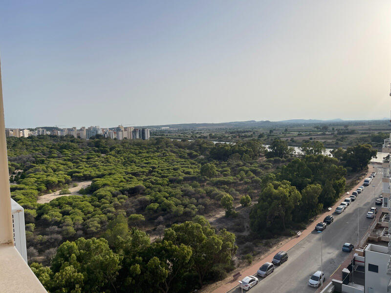 3 Cuarto Apartamento en venta