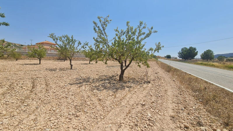 Land for sale in Torrevieja, Alicante