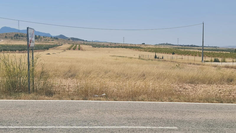 Terrenos en venta