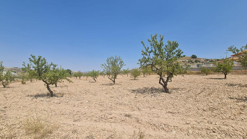 Terrenos en venta