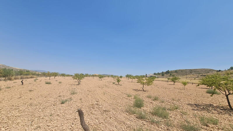 Land Te koop
