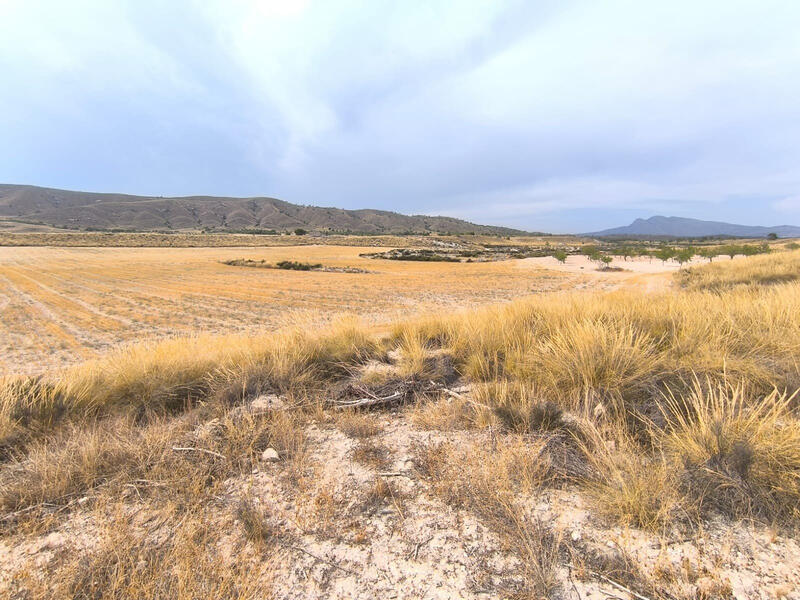 6 Cuarto Casa de Campo en venta