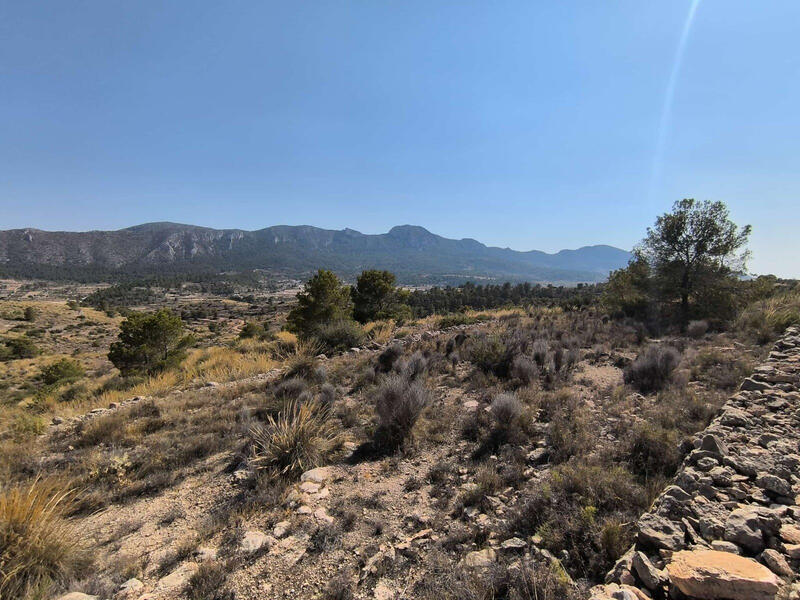 Terrenos en venta en La Romana, Alicante