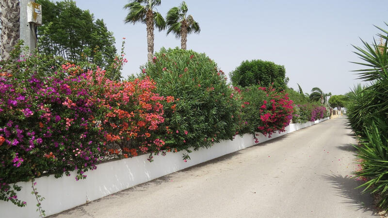 3 bedroom Country House for sale