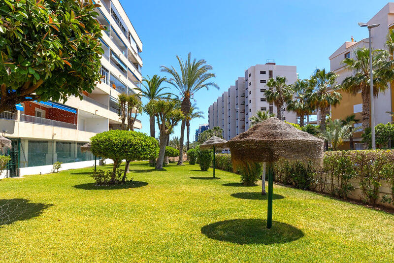 1 bedroom Apartment for sale