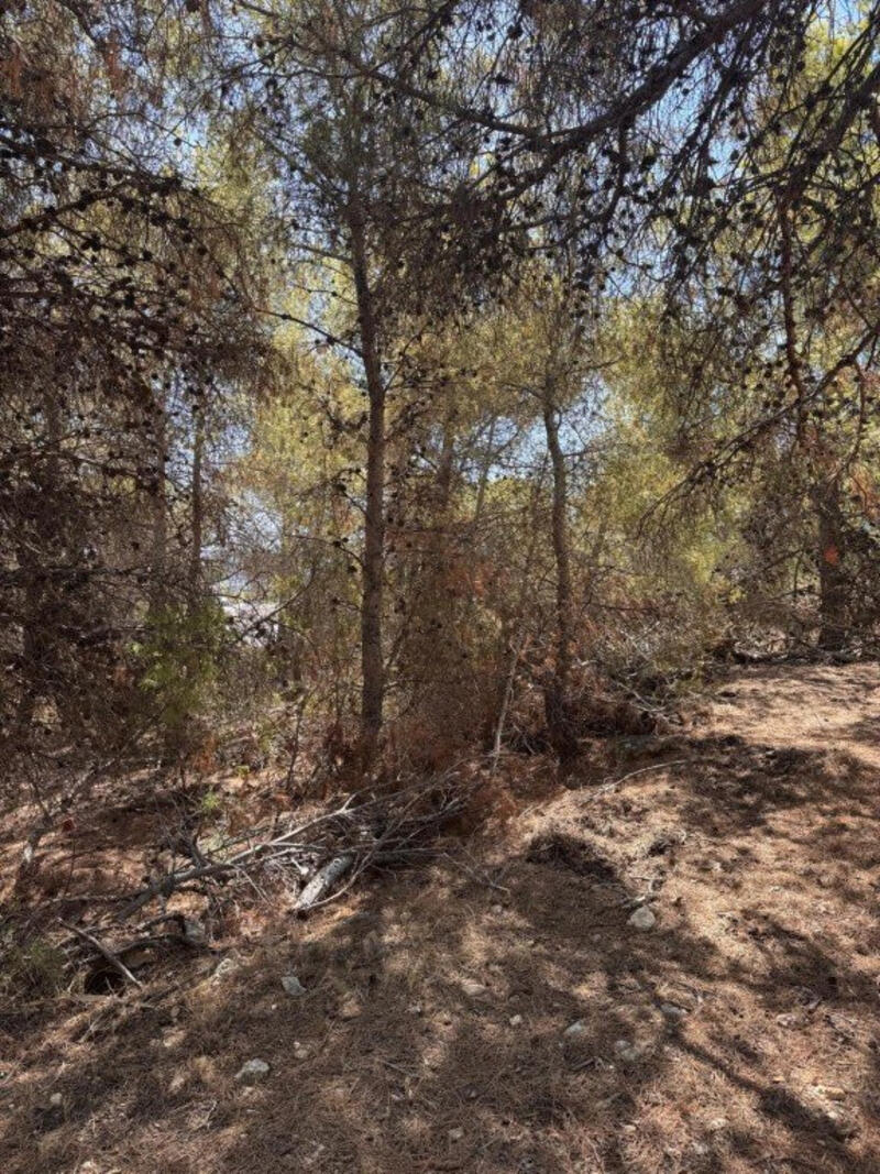 Land for sale