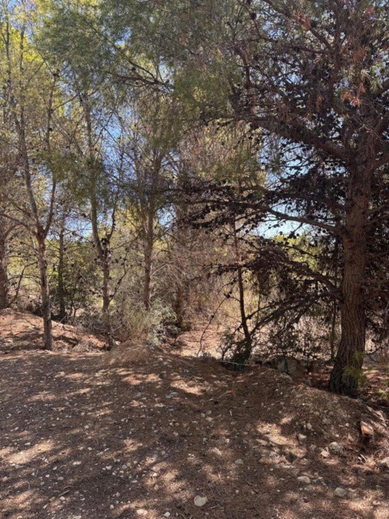 Land for sale