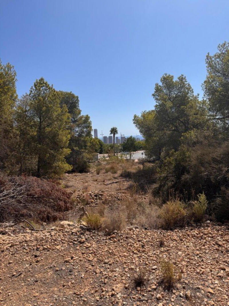 Land for sale