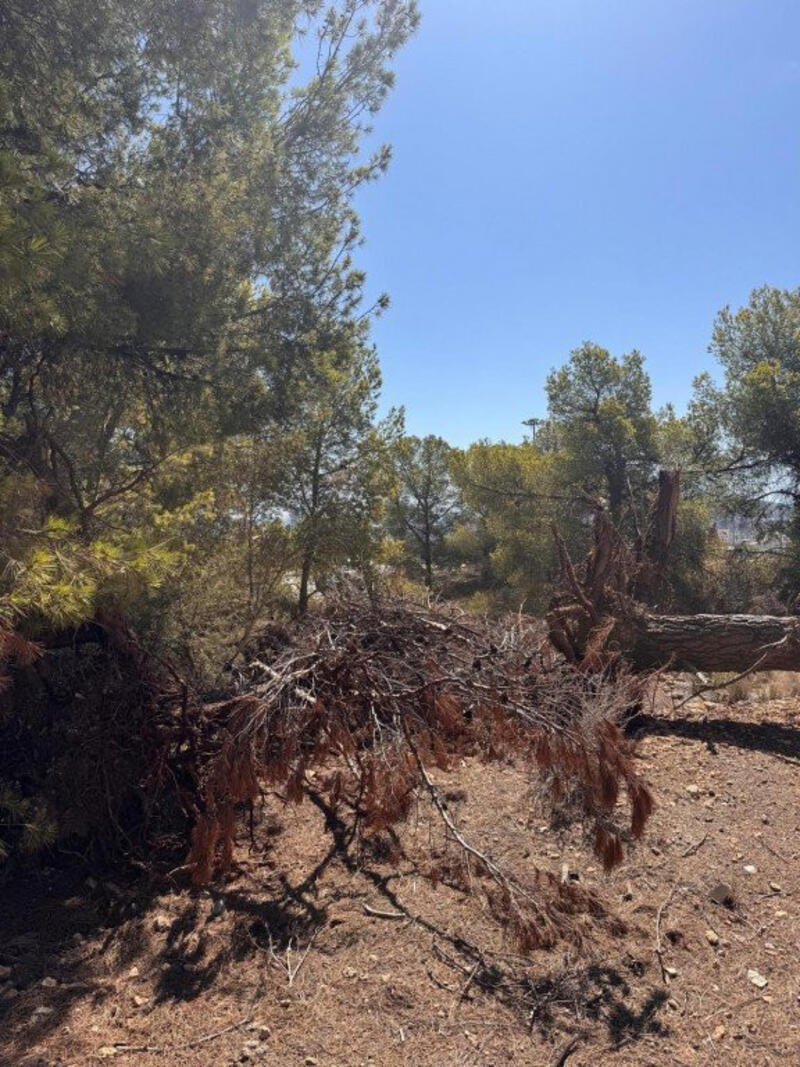 Land for sale